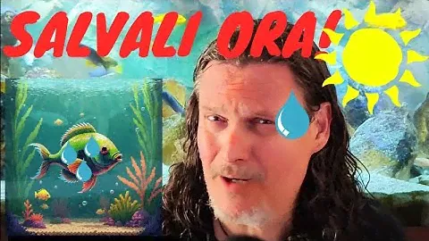 10 soluzioni per raffreddare l'acquario in estate: SALVIAMO I PESCI DAL CALDO